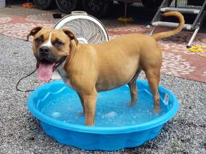 Hondo pool